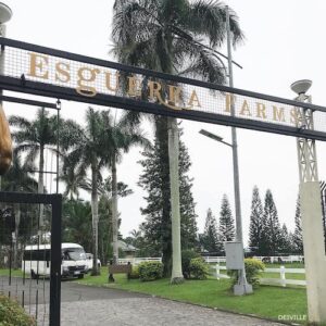 best things to do at esguerra farms